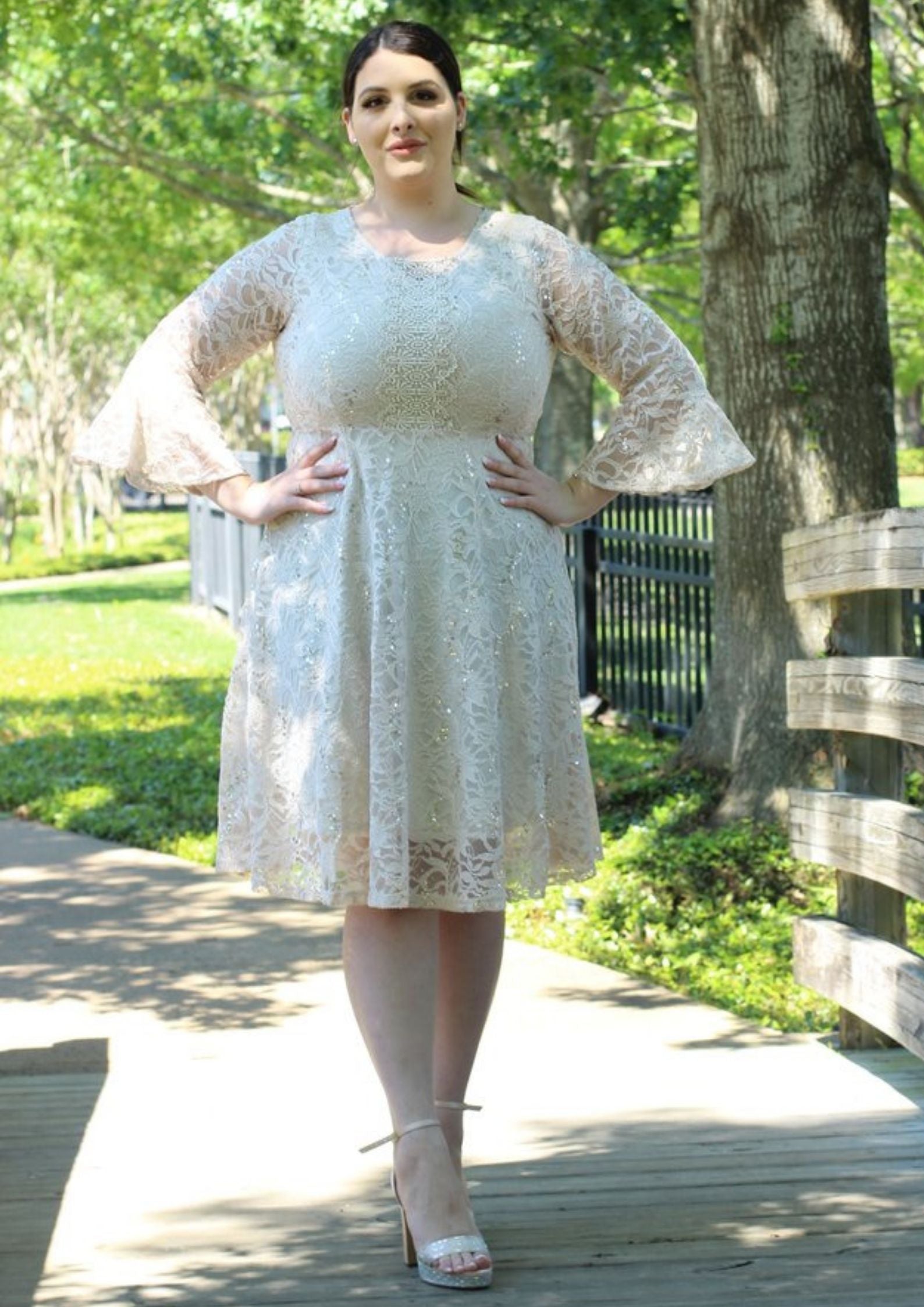 Elegant Plus Size Lace Dresses